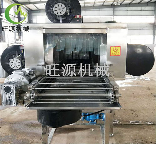 托盤清洗機(jī)選購指南 上海、諸城旺源與友邦品牌對比分析